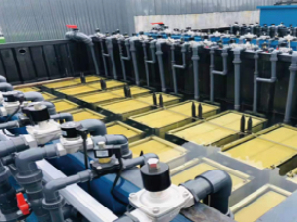 全自動洗膜項目現場